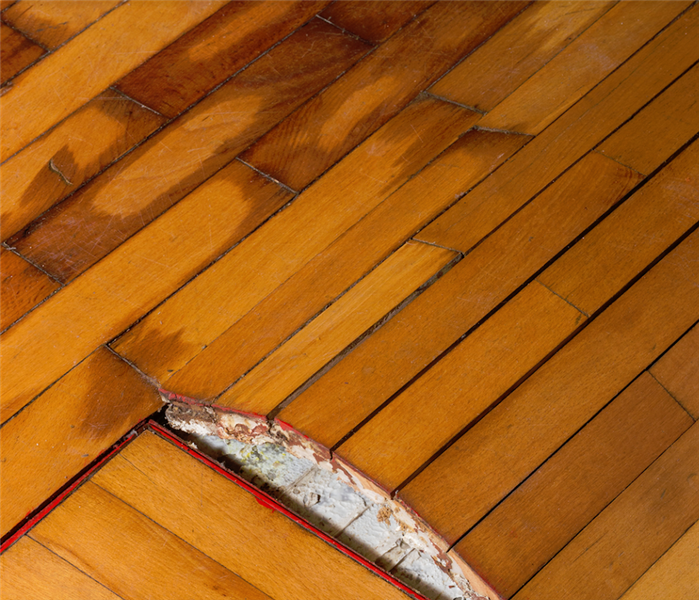 warped floorboards from water damage