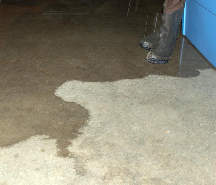 Water seeping across cement flooring