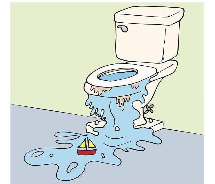 Illustrated Overflowed Toilet