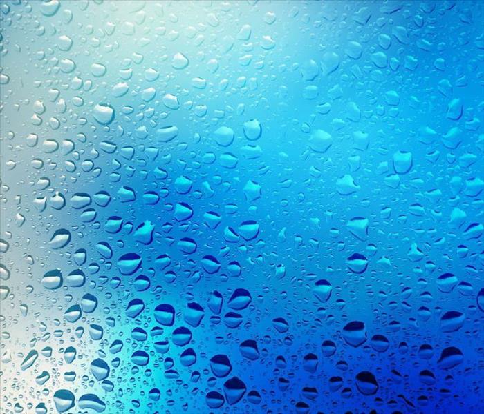 Water Drops On Window