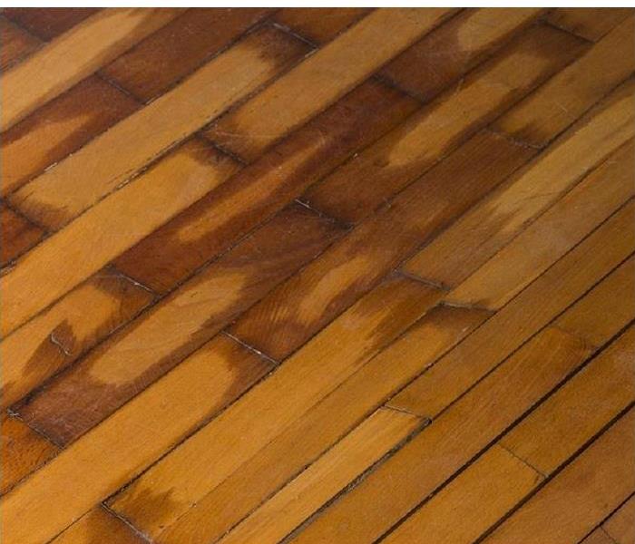 water damaged hardwood flooring